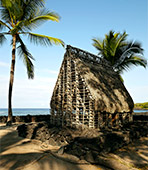 thatched house in Hawaii